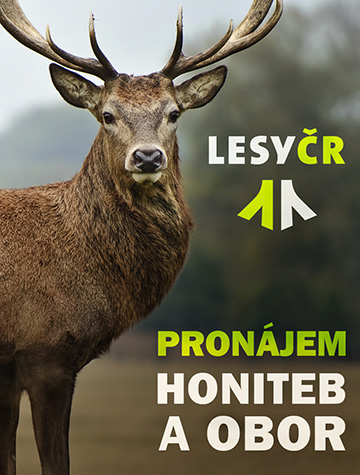 LČR pronájem honiteb a obor