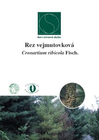 rez