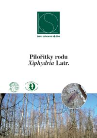 piloritky