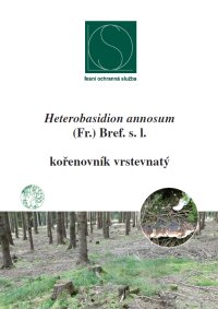 kořenovník vrstevnatý